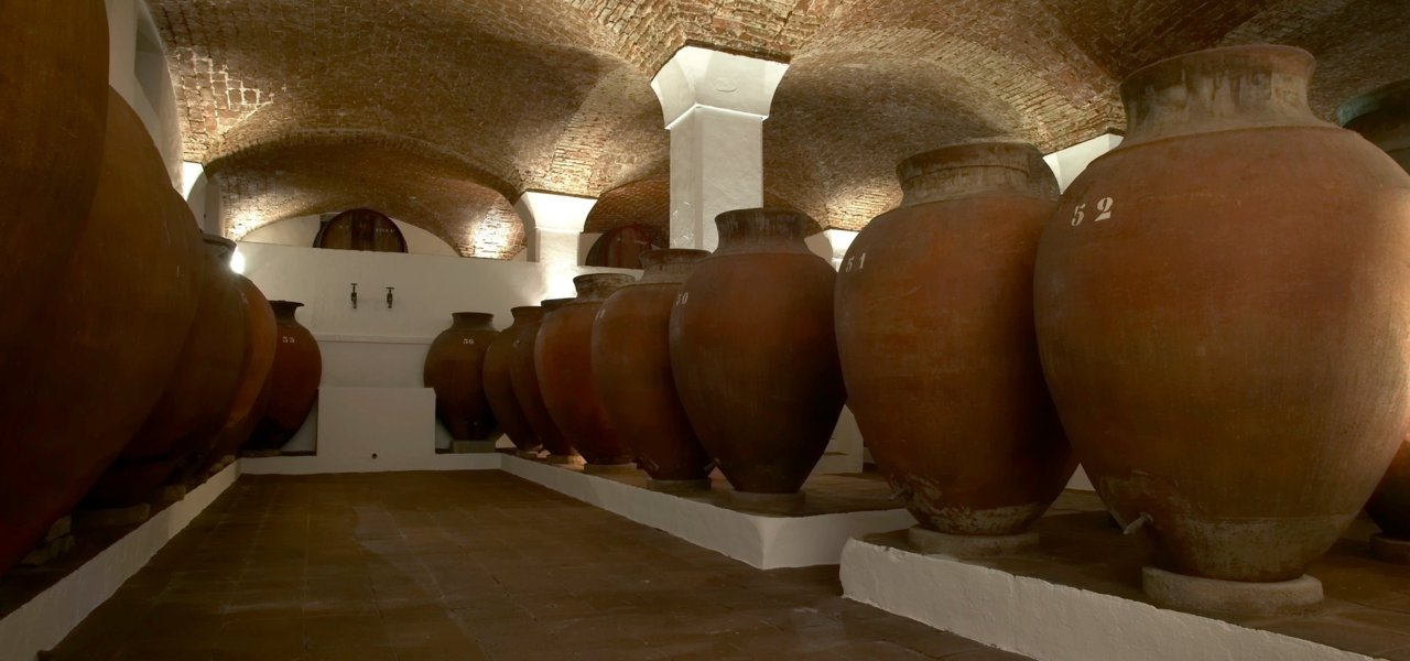 Exclusive wine tastings and visits